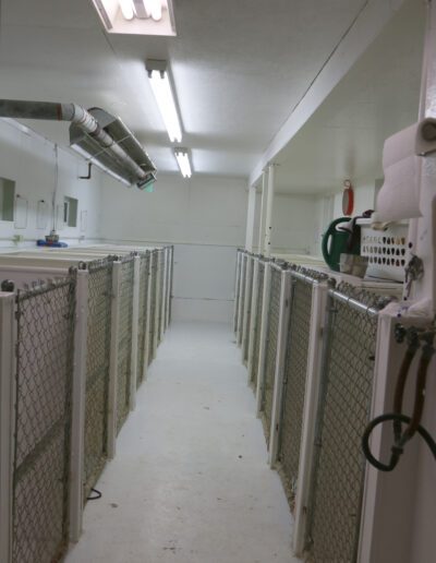 indoor of the sonshine kennels